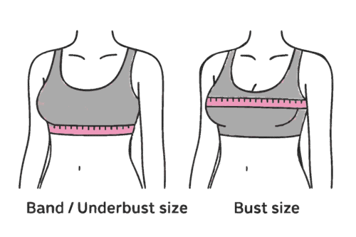Bra size guide